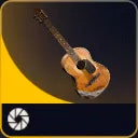 Acoustic Guitar