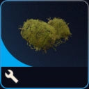 Moss